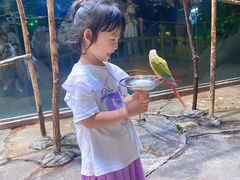 -泉城欧乐堡海洋极地世界