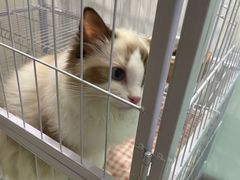 -iF摄影•全家福•证件照•形象照(南山店)