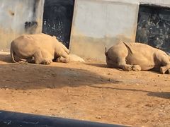 -泉州海丝野生动物世界