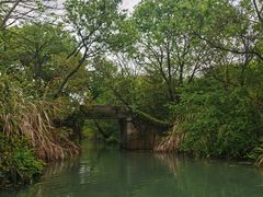 -西溪国家湿地公园