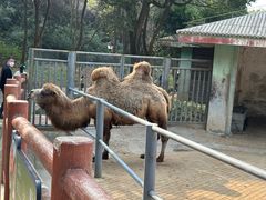 -无锡动物园·太湖欢乐园