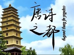 -特种渔场