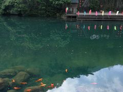 -祁门牯牛降观音堂风景区