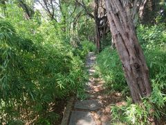 -嘉定紫藤园