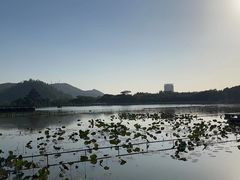 -顺峰山公园