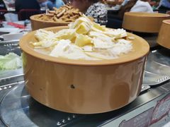 -龍歌自助小火锅(李沧丽达店)