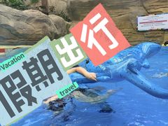 -杭州开元森泊度假乐园