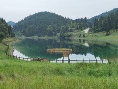 -武陵山森林公园