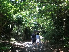 -龙坑生态保护区