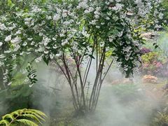 -上海植物园-4号门售票处