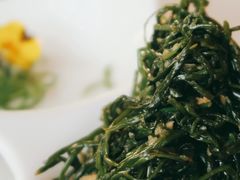 苦苦菜-伊祥·敦煌楼