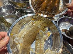 -蓝珊甄选海鲜自助·火锅大排档(近阿那亚店)