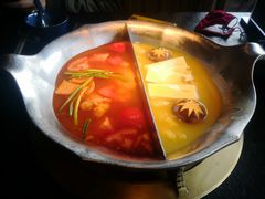 红颜花胶鸡锅-湊湊火锅·茶憩(世博大道店)