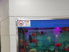 -雅悦齿科(顾村公园店)