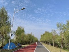 -艾溪湖湿地公园
