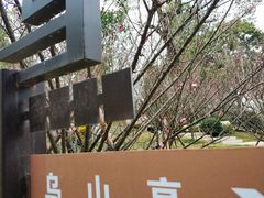 -乌山风景区