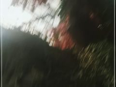-滕头生态酒店(奉化店)