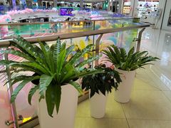 -北京华联购物中心(天通苑店)