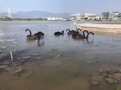-琅岐红光湖公园