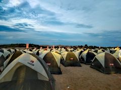 -银肯塔拉沙漠生态旅游景区
