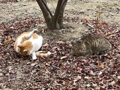 -江南大学(蠡湖校区)