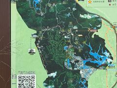 -大屏嶂森林公园