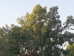 -汇龙潭
