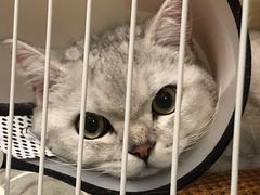 -荔康动物医院(康王北路店)