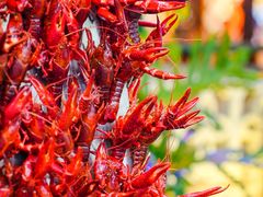 -霸王虾·麻辣小龙虾(清水河公园店)