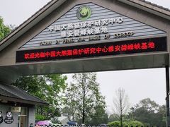 -中国大熊猫保护研究中心雅安碧峰峡基地