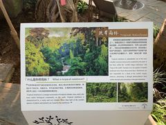 -北京植物园-展览温室