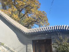 -北京凤凰岭