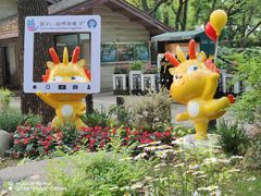 -上海共青森林公园