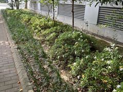 -复旦张江校区食堂