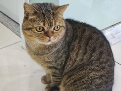 -纳吉亚猫专科动物医院博雅分院