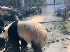 -石家庄极地海洋世界