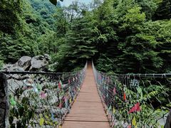 -青峰峡国家森林公园