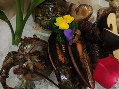 -蓝钻·国际美食海鲜自助百汇(西直门店)