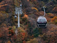 -光雾山旅游景区