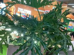 -大橘元自助回转火锅(天河新天地店)