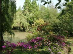 -上海滨江森林公园