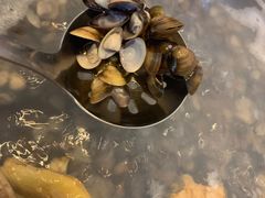 -凯华海鲜火锅·传承三十六年