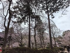 -醍醐寺