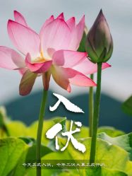 -宝馨月月子中心(友谊医院店)