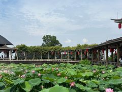 -广州莲花山旅游区