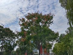 -东南大学(九龙湖校区)