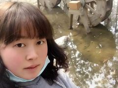 -林海公园