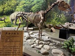 -陕西自然博物馆