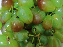 -江杨农产品批发市场