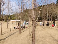 -牛岗山公园